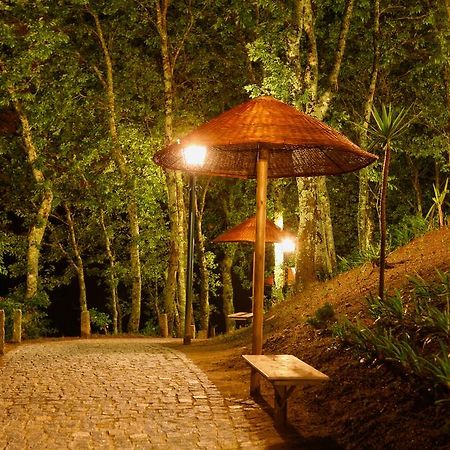 Vila da Lixa Quinta Da Costa 빌라 외부 사진