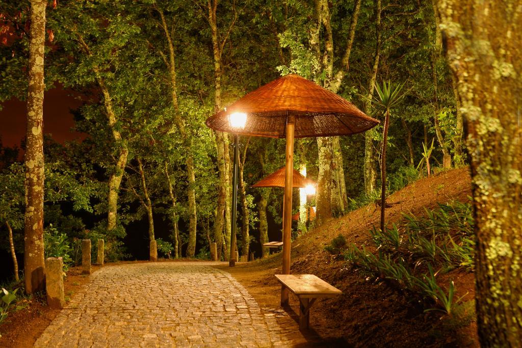 Vila da Lixa Quinta Da Costa 빌라 외부 사진